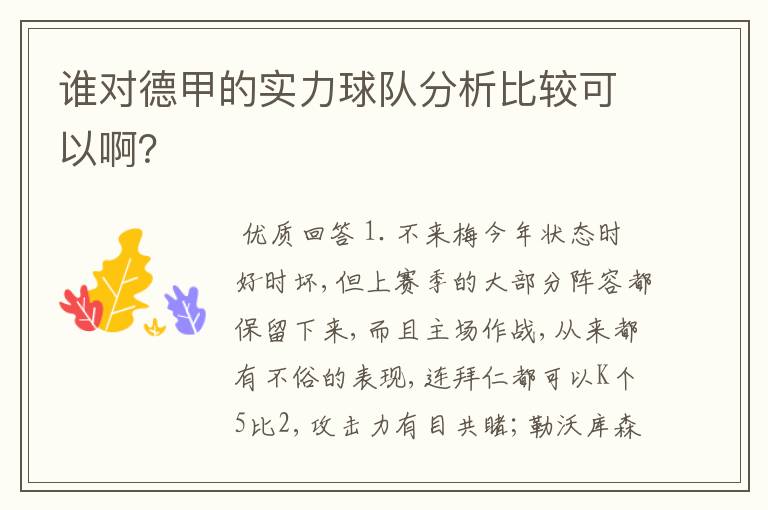 谁对德甲的实力球队分析比较可以啊?