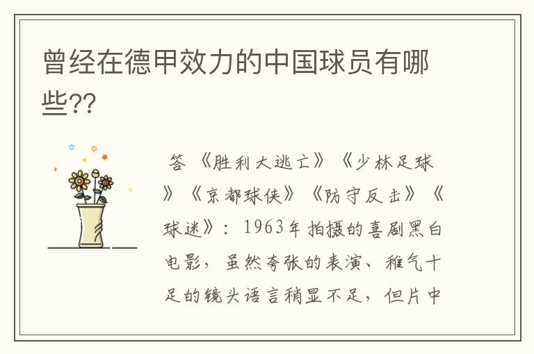 曾经在德甲效力的中国球员有哪些??