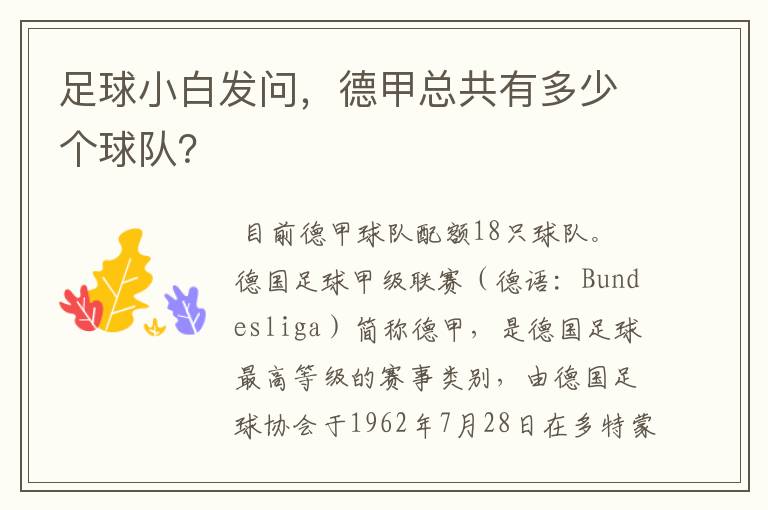 足球小白发问,德甲总共有多少个球队?