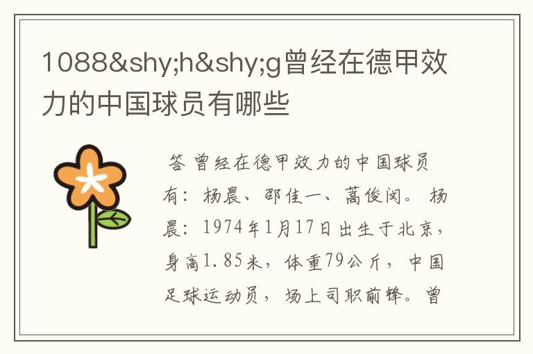 1088hg曾经在德甲效力的中国球员有哪些