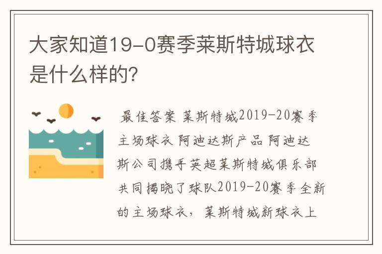 大家知道19-0赛季莱斯特城球衣是什么样的?