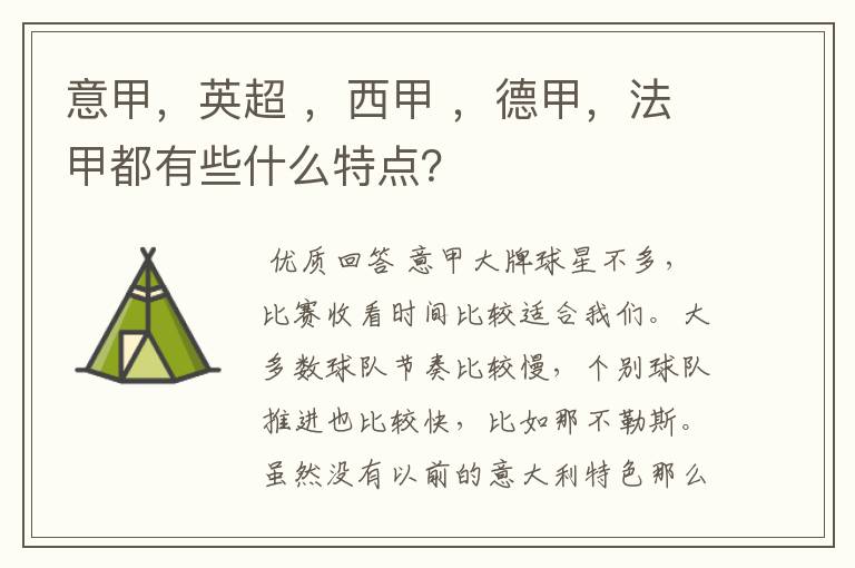 意甲,英超 ,西甲 ,德甲,法甲都有些什么特点?