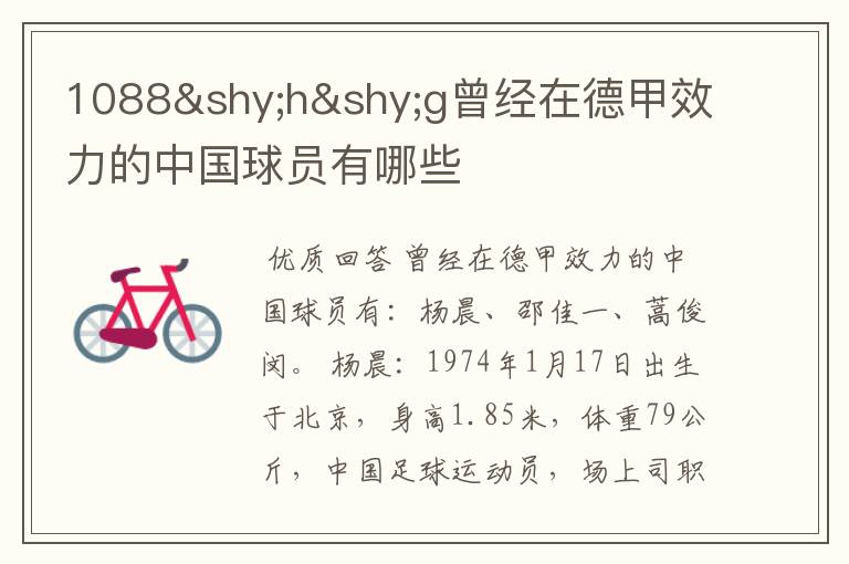 1088hg曾经在德甲效力的中国球员有哪些