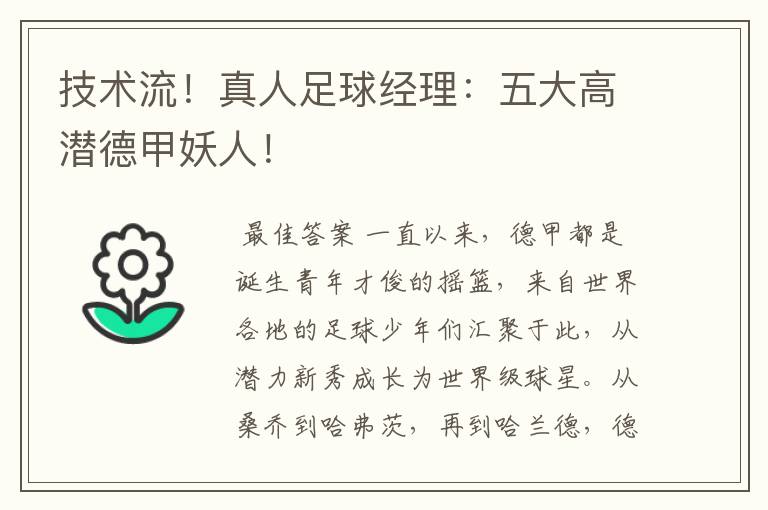 技术流!真人足球经理:五大高潜德甲妖人!