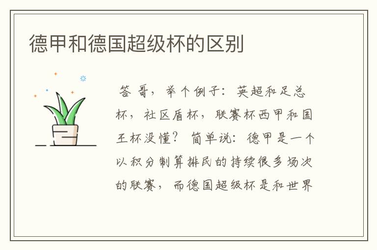 德甲和德国超级杯的区别