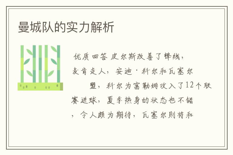曼城队的实力解析