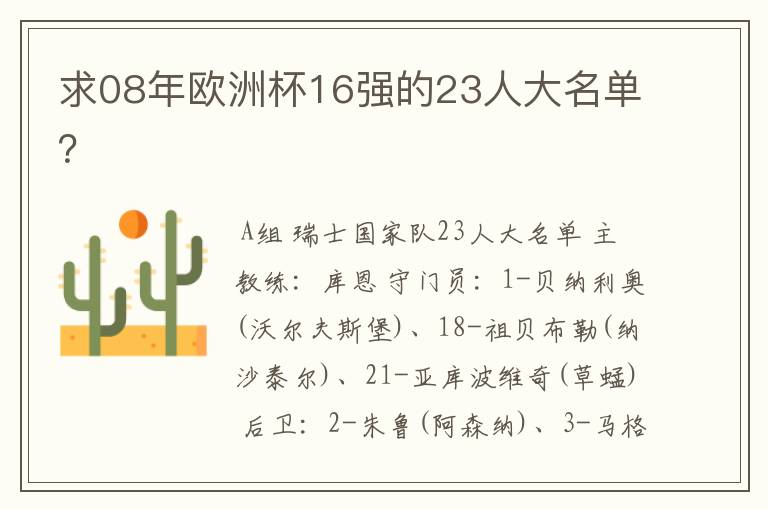 求08年欧洲杯16强的23人大名单?