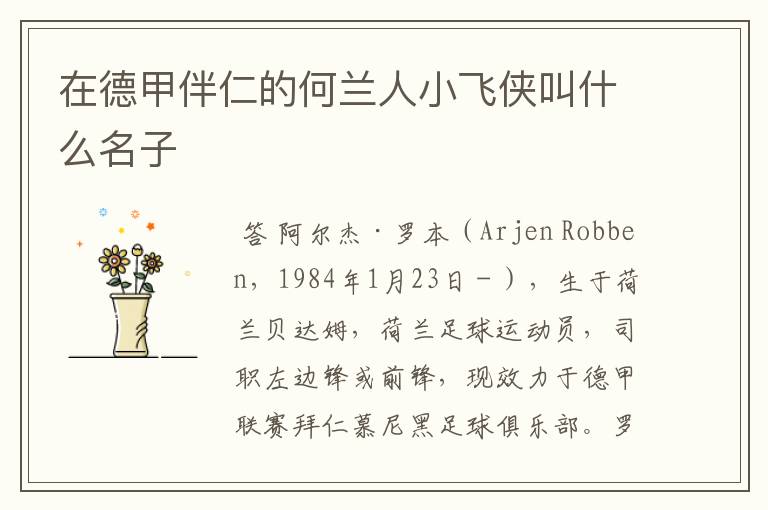 在德甲伴仁的何兰人小飞侠叫什么名子