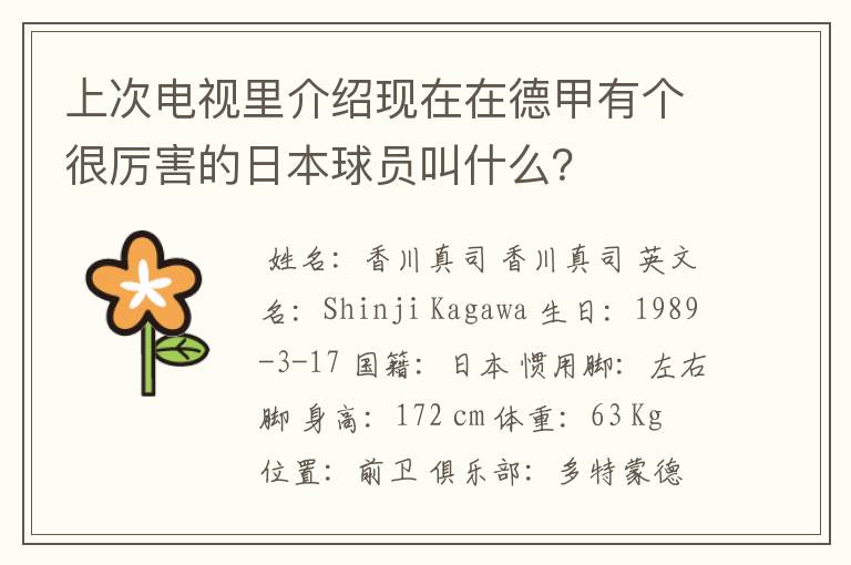 上次电视里介绍现在在德甲有个很厉害的日本球员叫什么?
