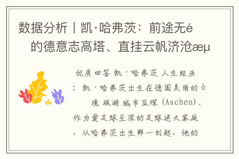 数据分析丨凯·哈弗茨:前途无量的德意志高塔、直挂云帆济沧海