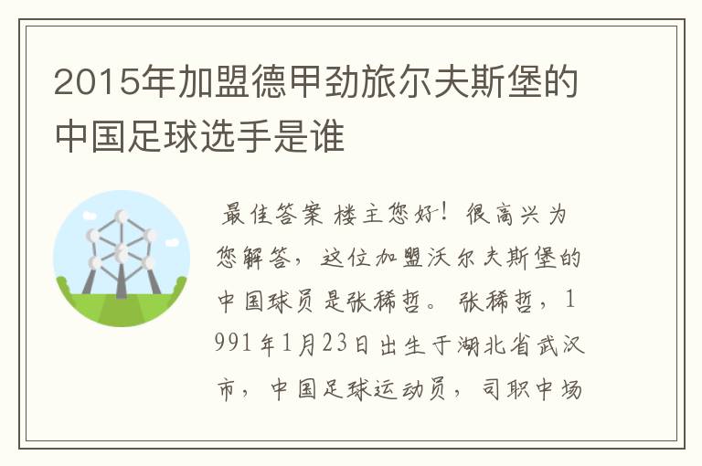 2015年加盟德甲劲旅尔夫斯堡的中国足球选手是谁