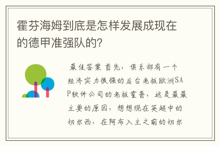 霍芬海姆到底是怎样发展成现在的德甲准强队的?