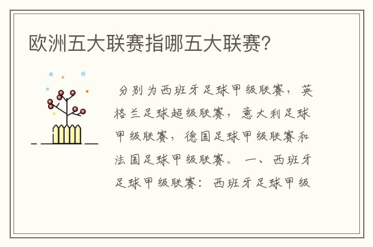 欧洲五大联赛指哪五大联赛?