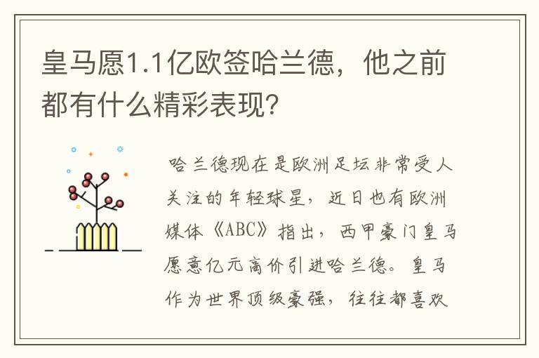 皇马愿1.1亿欧签哈兰德,他之前都有什么精彩表现?
