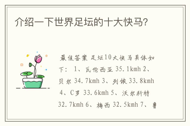 介绍一下世界足坛的十大快马?