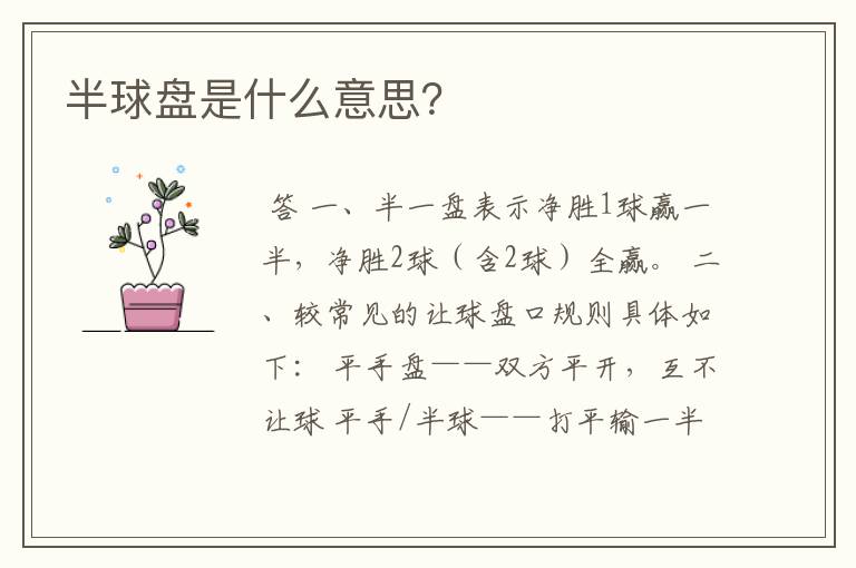 半球盘是什么意思?