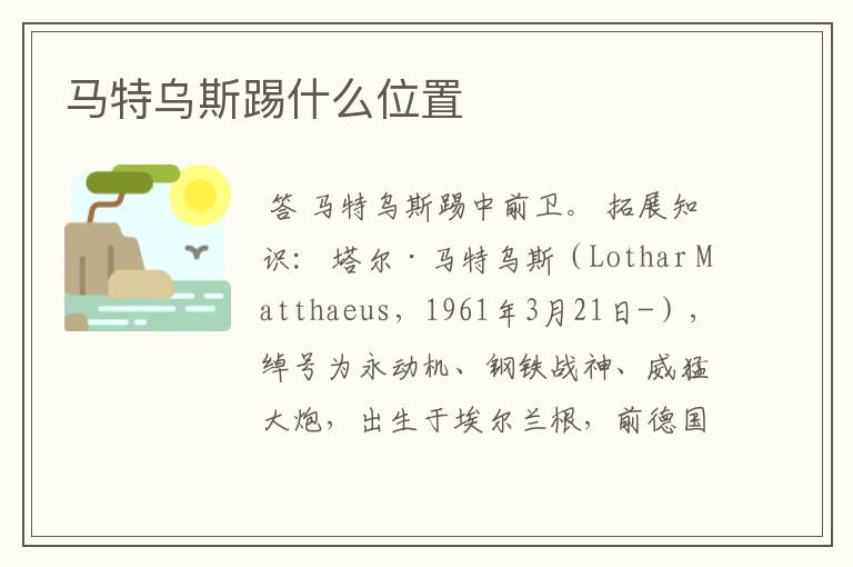 马特乌斯踢什么位置
