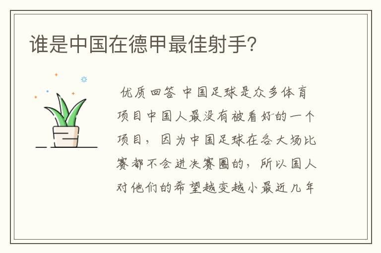 谁是中国在德甲最佳射手?