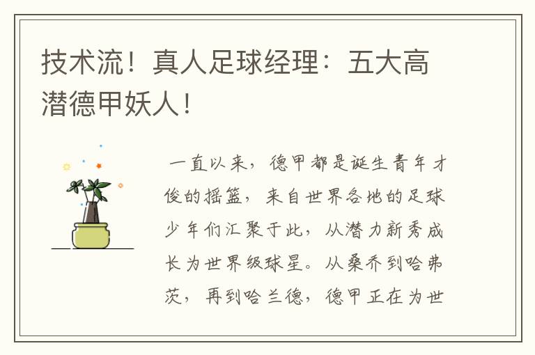 技术流!真人足球经理:五大高潜德甲妖人!