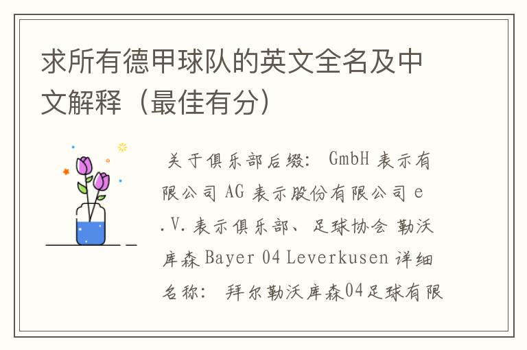 求所有德甲球队的英文全名及中文解释(最佳有分)