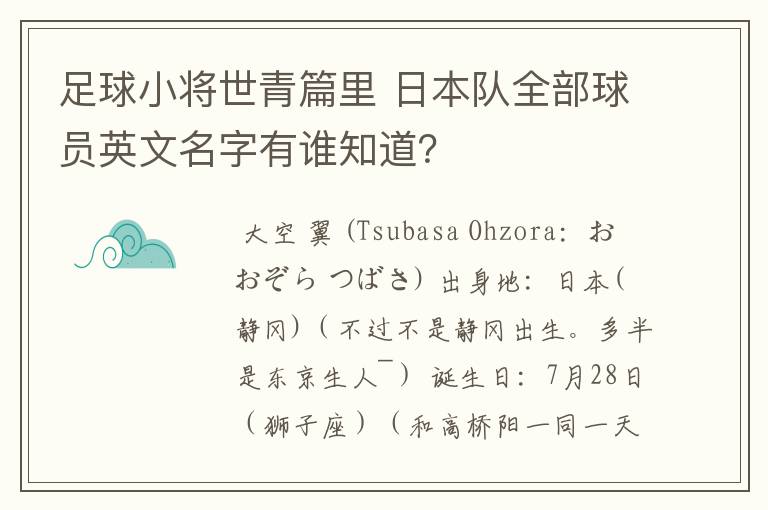足球小将世青篇里 日本队全部球员英文名字有谁知道?