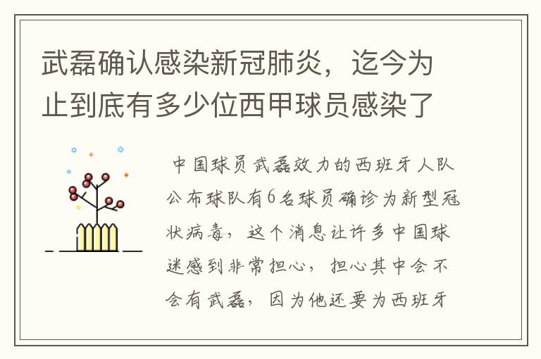 武磊确认感染新冠肺炎,迄今为止到底有多少位西甲球员感染了新冠病毒?