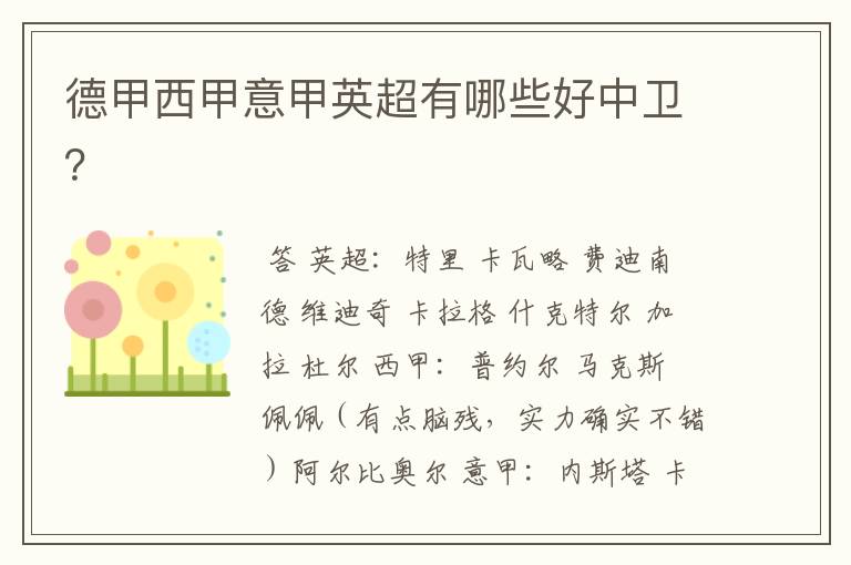 德甲西甲意甲英超有哪些好中卫?