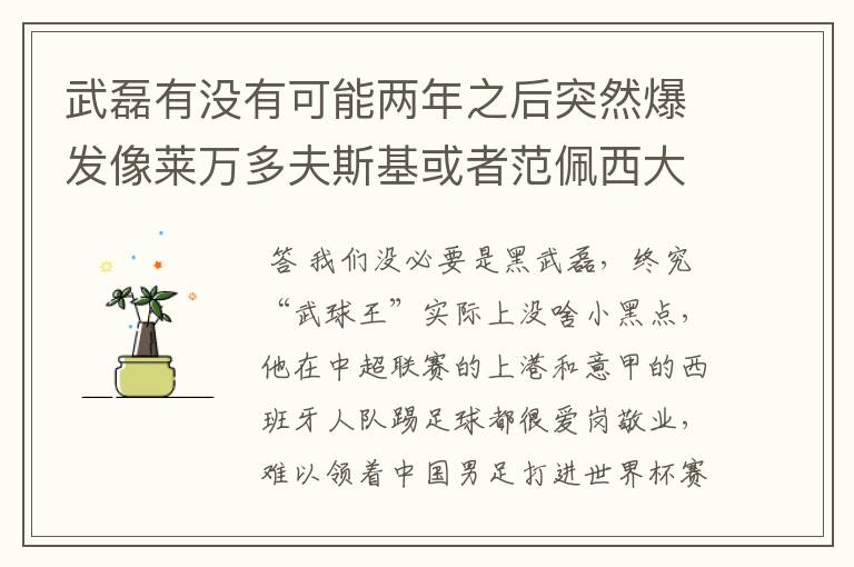 武磊有没有可能两年之后突然爆发像莱万多夫斯基或者范佩西大器晚成呢?