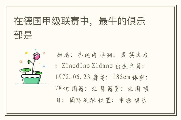 在德国甲级联赛中,最牛的俱乐部是