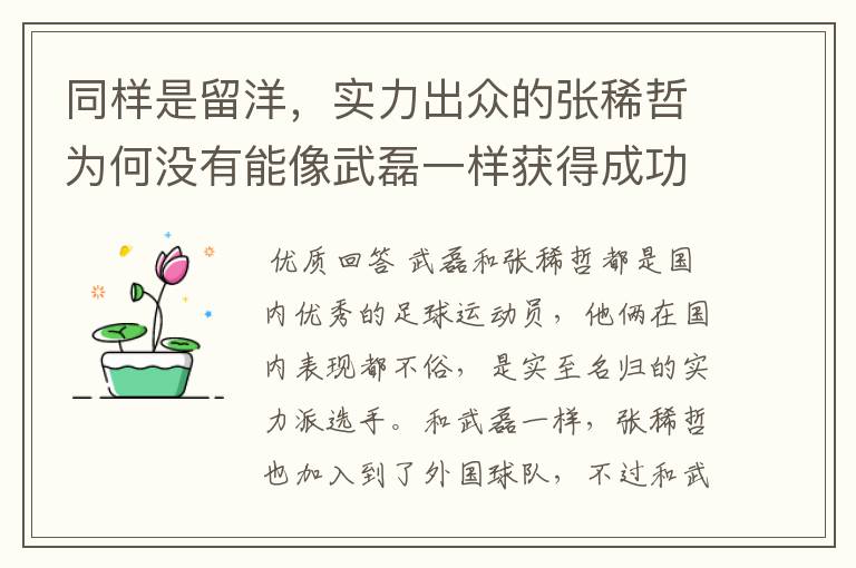 同样是留洋,实力出众的张稀哲为何没有能像武磊一样获得成功?