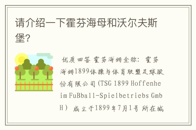 请介绍一下霍芬海母和沃尔夫斯堡?