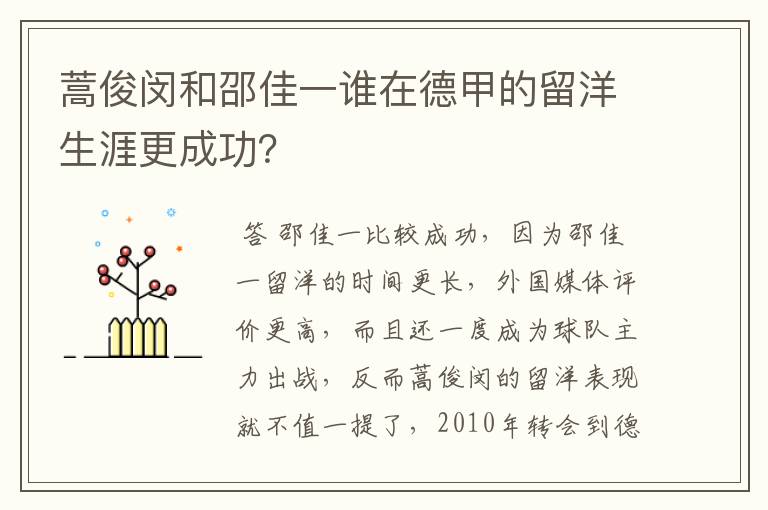 蒿俊闵和邵佳一谁在德甲的留洋生涯更成功?