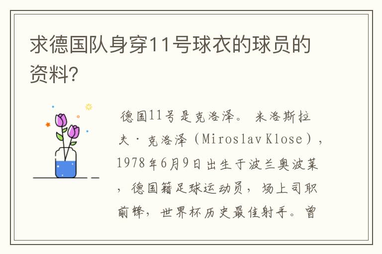 求德国队身穿11号球衣的球员的资料?