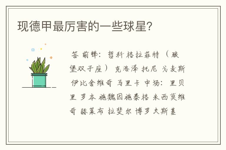 现德甲最厉害的一些球星?