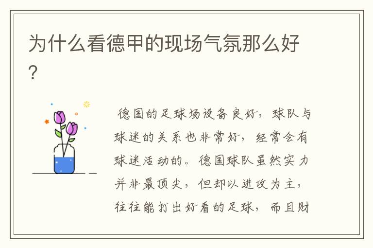 为什么看德甲的现场气氛那么好?
