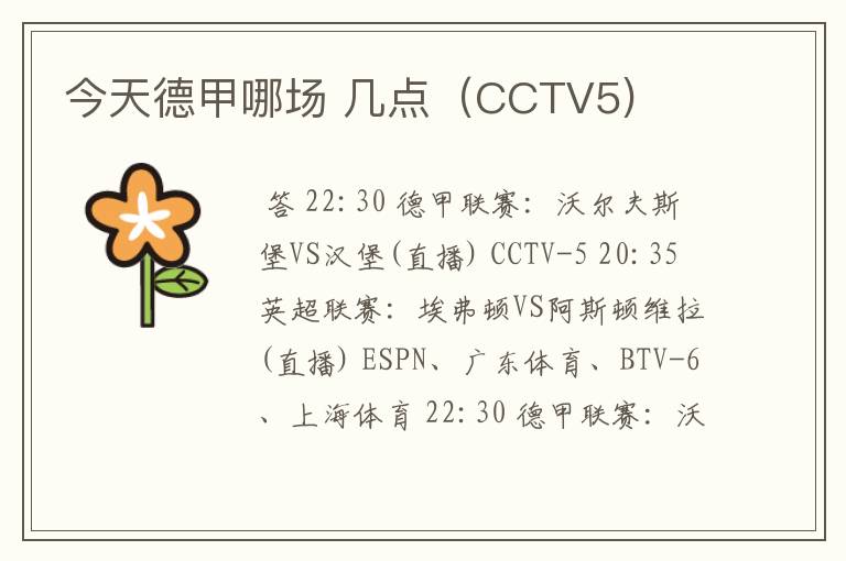 今天德甲哪场 几点(CCTV5)