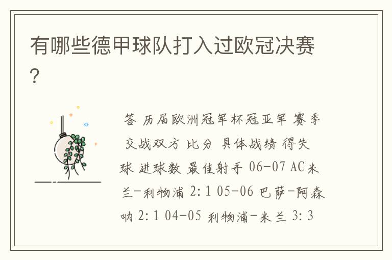 有哪些德甲球队打入过欧冠决赛?