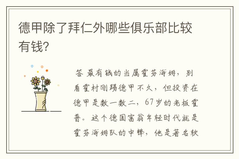 德甲除了拜仁外哪些俱乐部比较有钱?