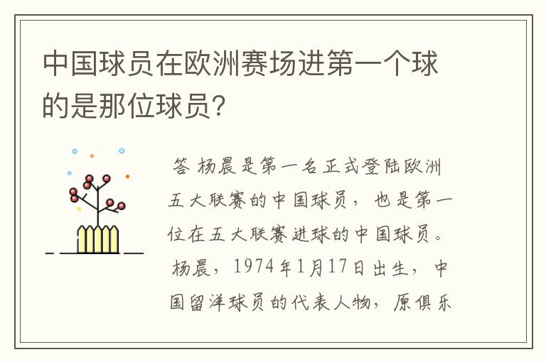中国球员在欧洲赛场进第一个球的是那位球员?