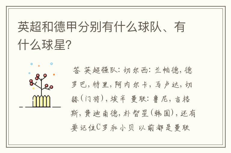 英超和德甲分别有什么球队、有什么球星?