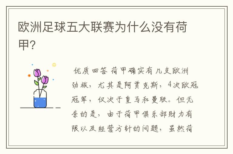欧洲足球五大联赛为什么没有荷甲?