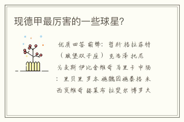 现德甲最厉害的一些球星?