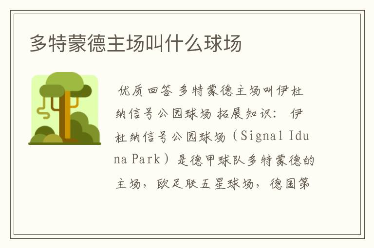 多特蒙德主场叫什么球场