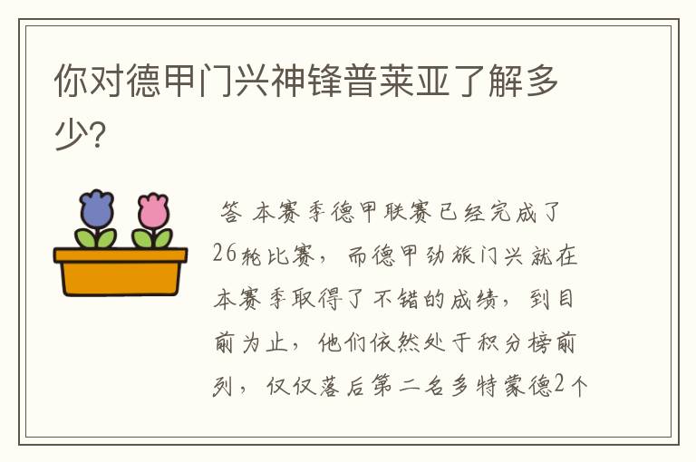 你对德甲门兴神锋普莱亚了解多少?