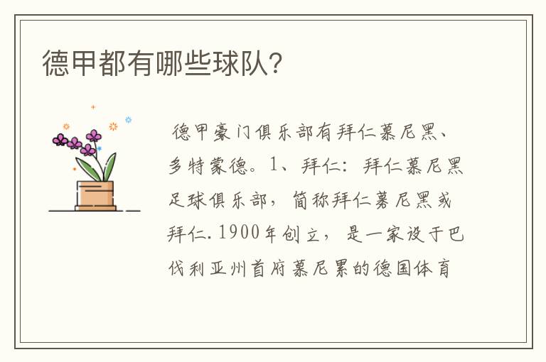 德甲都有哪些球队?