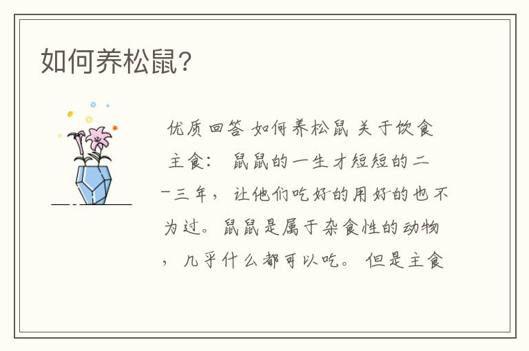 如何养松鼠?