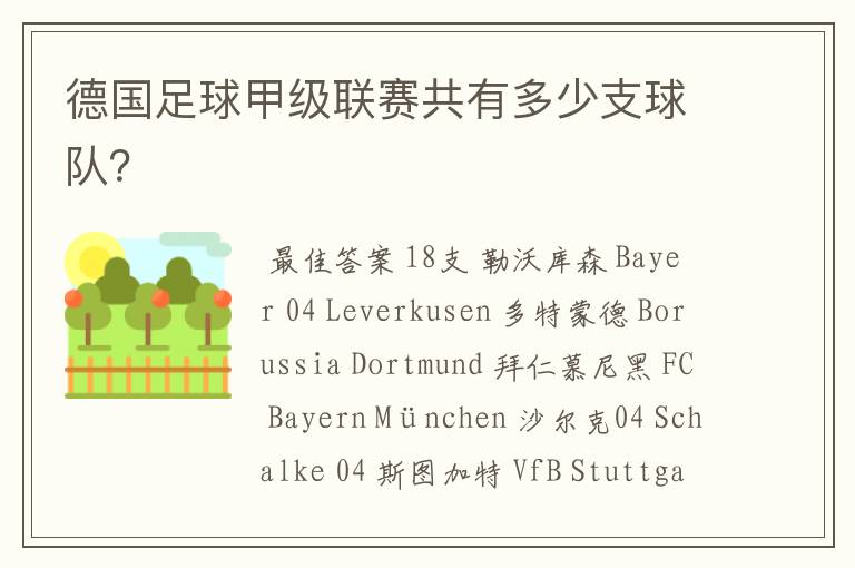 德国足球甲级联赛共有多少支球队?