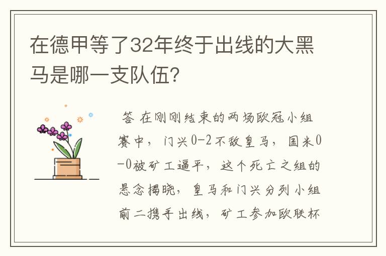 在德甲等了32年终于出线的大黑马是哪一支队伍?