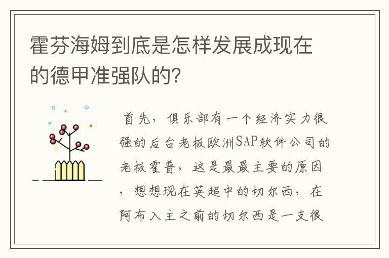 霍芬海姆到底是怎样发展成现在的德甲准强队的?