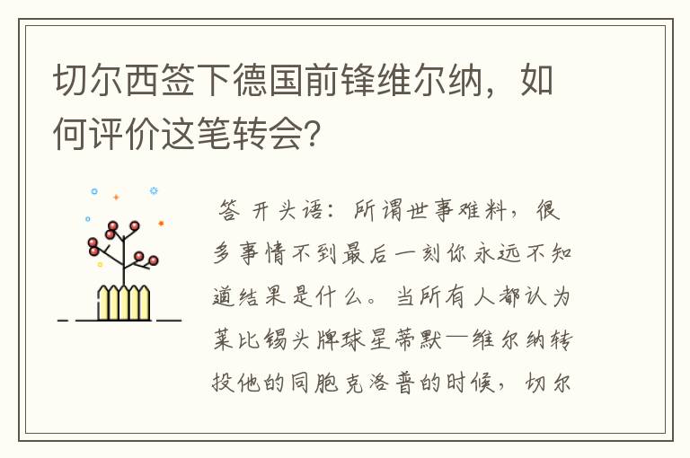 切尔西签下德国前锋维尔纳,如何评价这笔转会?